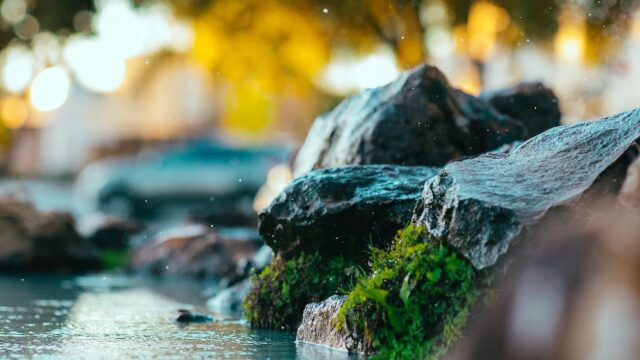 リストアップしました / Chromebook回避、解除方法