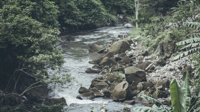 すべてのフィルタリングに使えます – Chromebook / エラーによるフィルタリング無効化