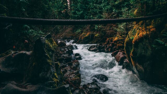 Chromebook / 拡張機能無効化