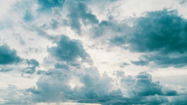 全フィルタリング / Google利用規約を使う回避