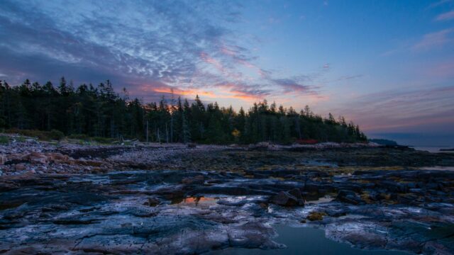 [運営より] 2024年 冬 – お知らせ